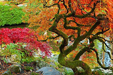 索尼宣布PS5云串流服务将于本月推出