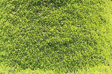 JK罗琳拒绝和艾玛・沃森和解 称其无知、假慈悲