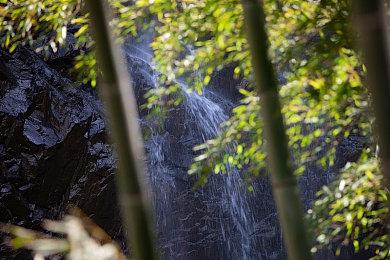 《喋血复仇》上榜！2021年玩家弃坑最多游戏Top 10